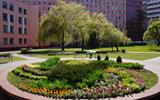 den_pobedy4 (1)